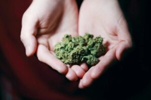 Health Benefits of Marijuana Use