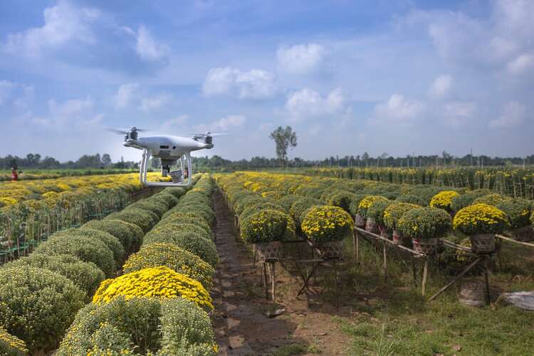 The Role of AI Tools in Agriculture