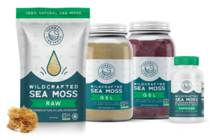 Everything You Need to Know About Sea Moss