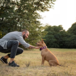 Common Mistakes in Dog Training and How to Avoid Them