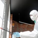 Why a Professional Mold Remediation Service is Essential for NJ Homes