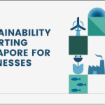 Singapore sustainability reporting standards