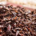 Why Are Edible Bugs Gaining Popularity Around The World In 2025?